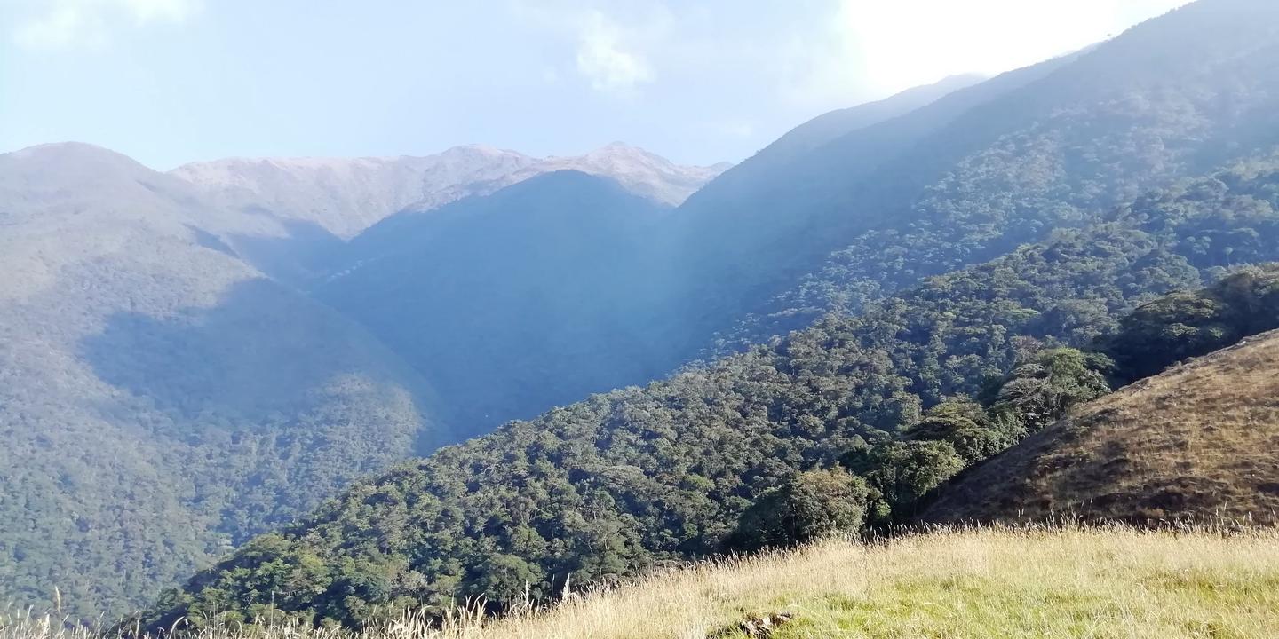 Montañas cubiertas de bosque vistas desde una loma.
