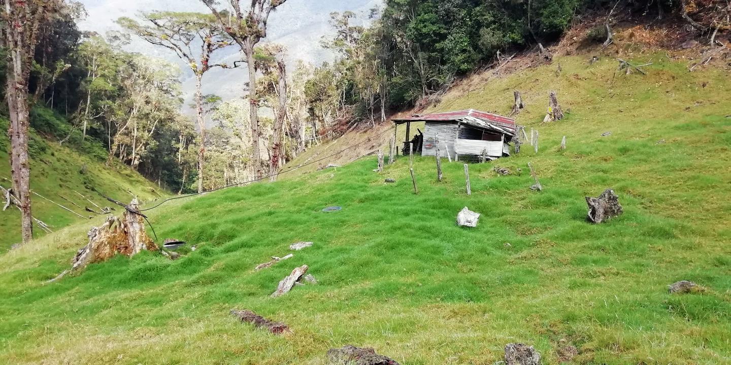 Un rancho de madera en un claro de pasto verde rodeado de bosque.