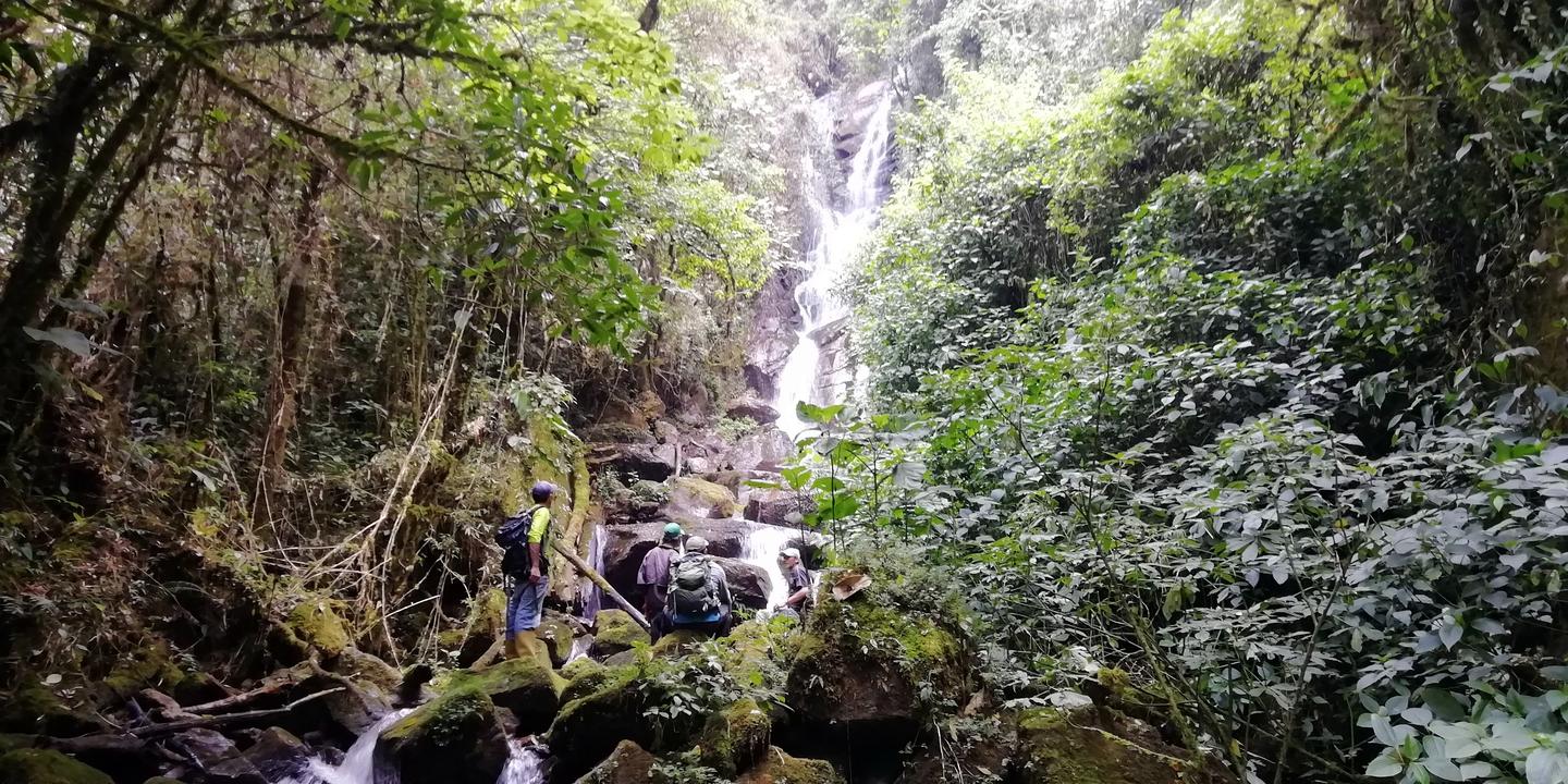 La cascada vista de lejos entre el bosque, con una persona en las piedras.