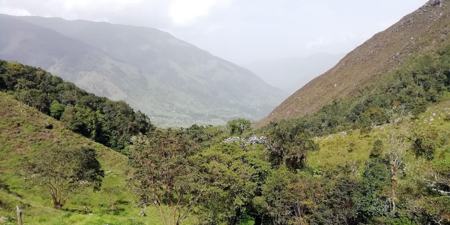 Un valle con bosque y potreros entre dos montañas.