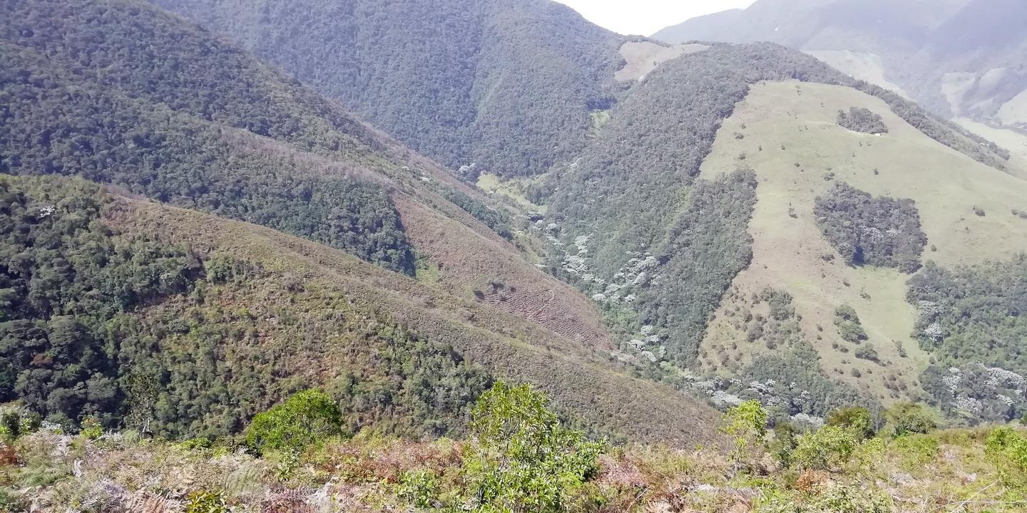 Montañas con bosque y potreros vistas desde lo alto.
