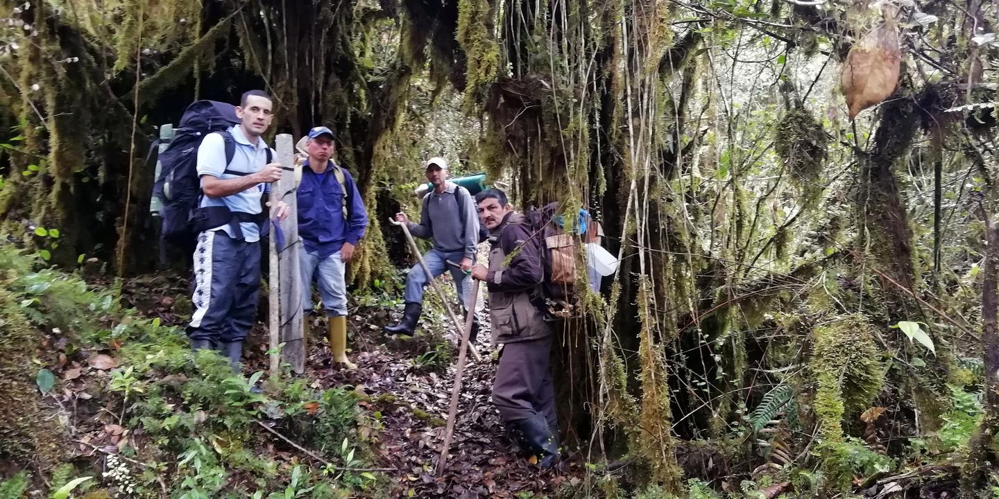 El grupo con morrales dentro de un bosque cerrado cubierto de musgo.