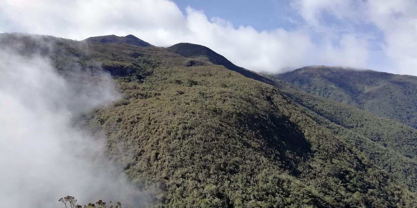 Nubes que suben por una montaña cubierta de bosque.