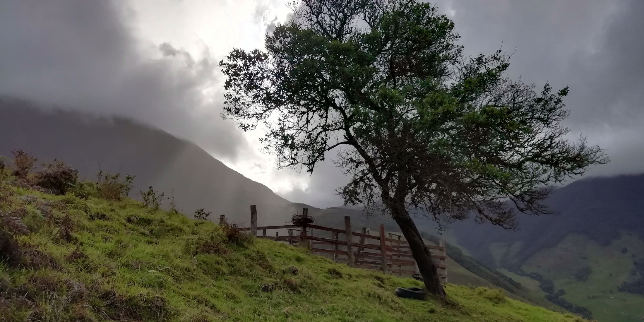 Un árbol solitario en una loma, junto a una cerca de madera, bajo nubes de tormenta.