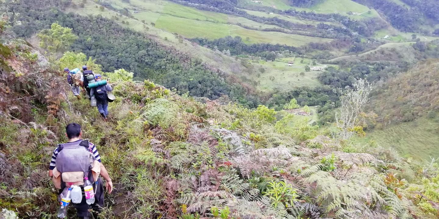 Dos expedicionarios bajan por una ladera hacia un valle verde.