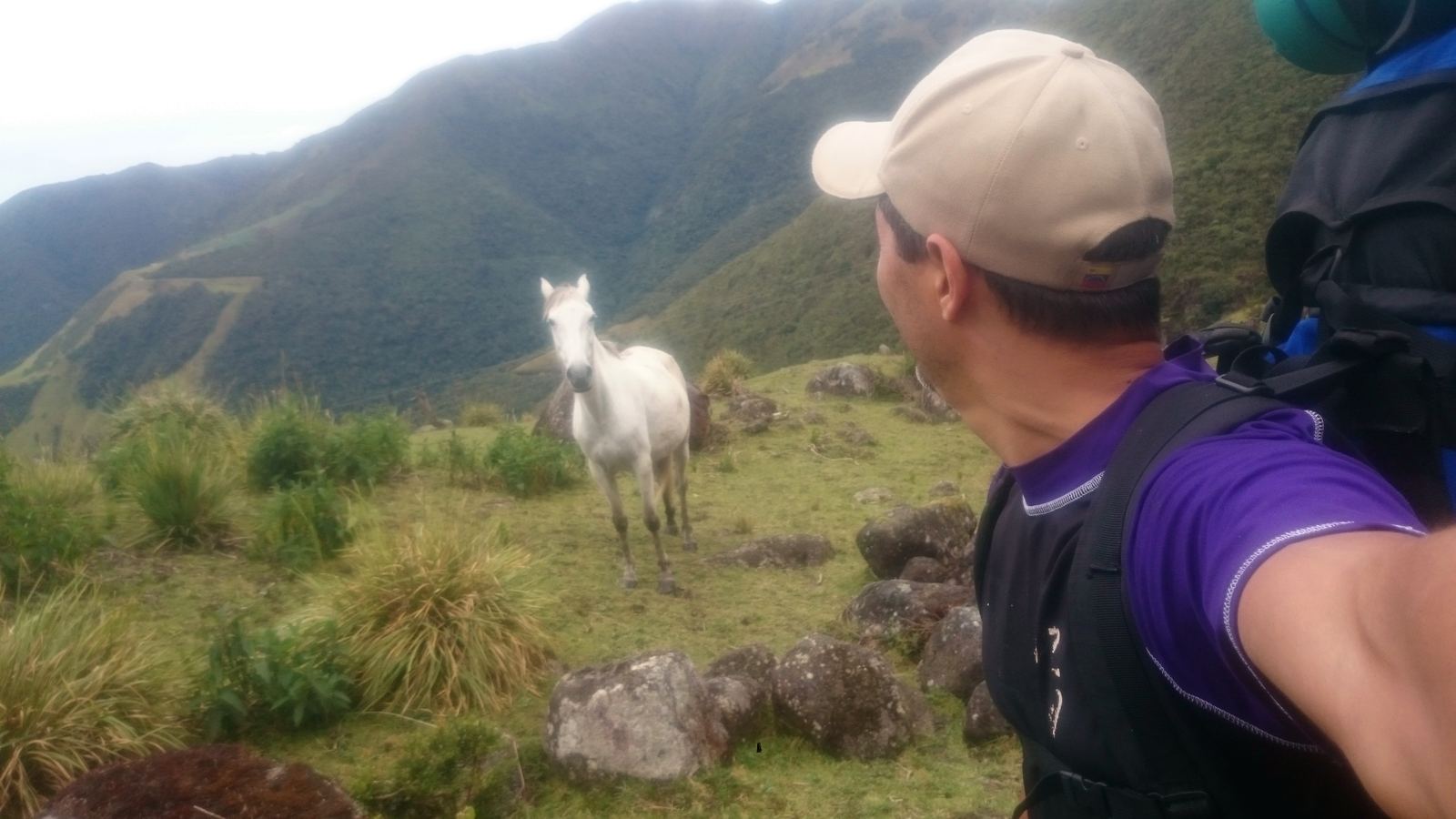 El caballo blanco: manso y dócil, pero fuerte y salvaje.