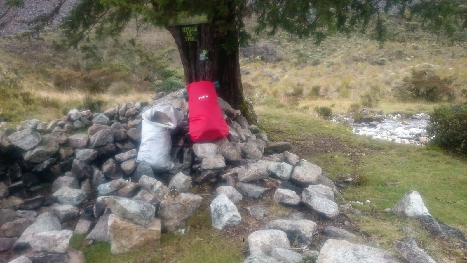 El Pino, primera parada del recorrido.