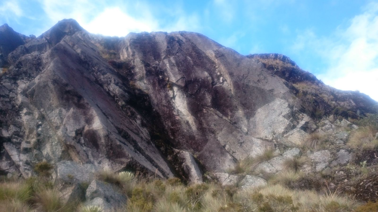 La roca inmensa del camino.