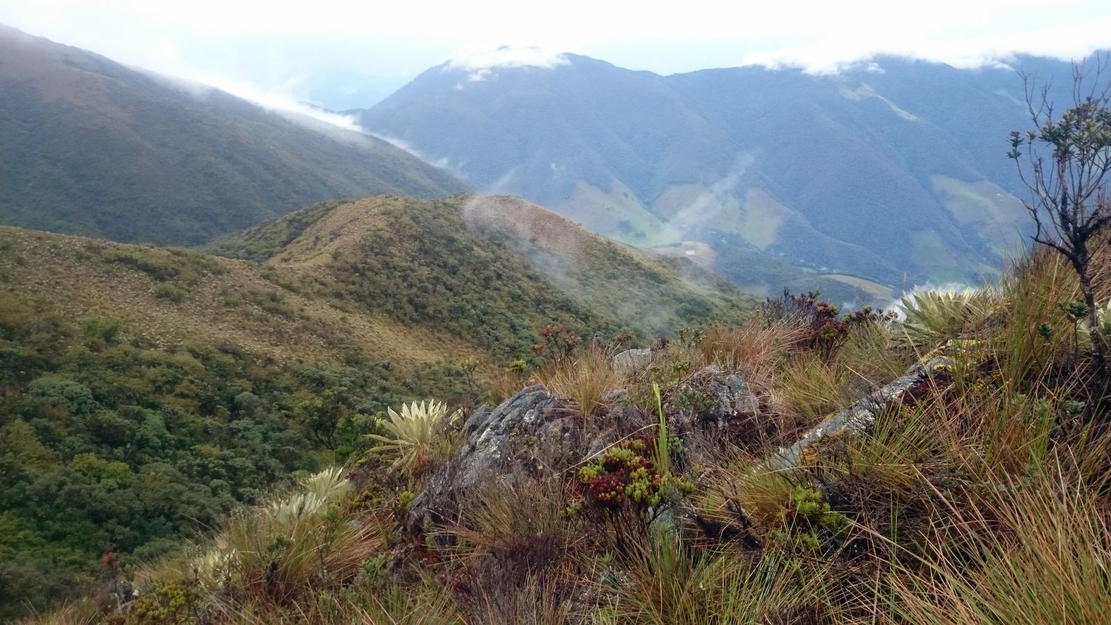 La bajada hacia el bosque. Aquí empezaron las 11 horas.
